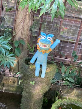 ナゴパイナップルパークに投稿された画像（2022/8/9）