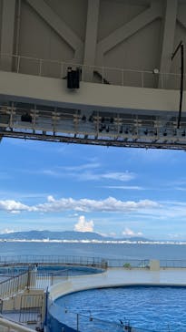 マリンワールド海の中道に投稿された画像（2022/8/9）