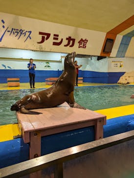 ゼロ距離水族館 伊勢シーパラダイスに投稿された画像（2022/8/9）