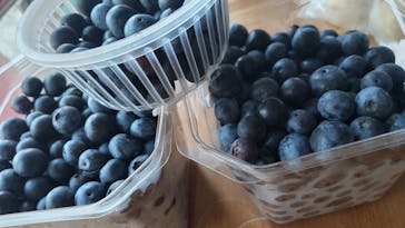 酒々井まがり家に投稿された画像（2022/8/9）