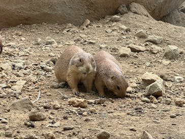 那須どうぶつ王国に投稿された画像（2022/8/9）
