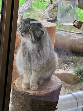 那須どうぶつ王国に投稿された画像（2022/8/9）