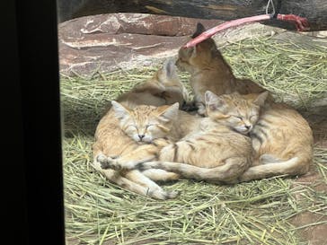 那須どうぶつ王国に投稿された画像（2022/8/9）