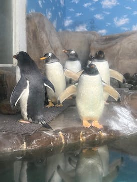 那須どうぶつ王国に投稿された画像（2022/8/9）