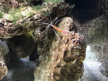 京都水族館に投稿された画像（2022/8/9）