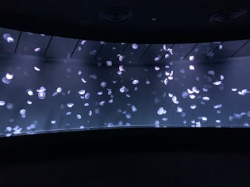 サンシャイン水族館に投稿された画像（2022/8/9）