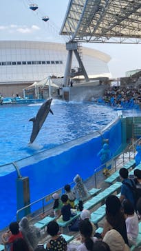 名古屋港水族館に投稿された画像（2022/8/9）