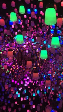 森ビル デジタルアート ミュージアム：エプソン チームラボボーダレスに投稿された画像（2022/8/9）