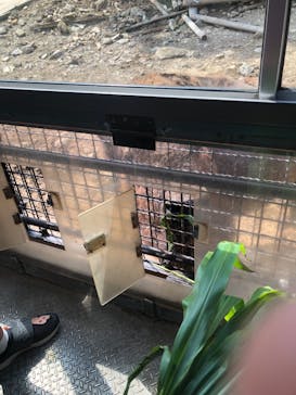 群馬サファリパークに投稿された画像（2022/8/9）