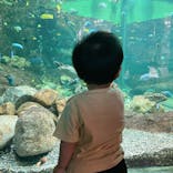 滋賀県立琵琶湖博物館に投稿された画像（2022/8/9）