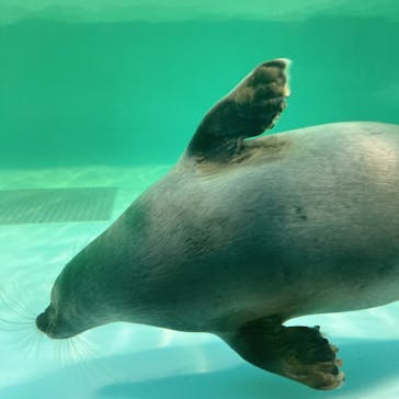 滋賀県立琵琶湖博物館に投稿された画像（2022/8/9）