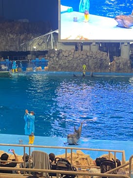 名古屋港水族館に投稿された画像（2022/8/9）