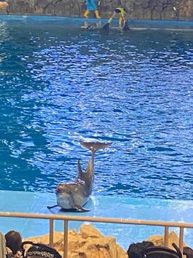 名古屋港水族館に投稿された画像（2022/8/9）