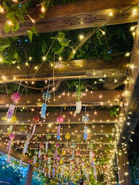 せんだい農業園芸センター　みどりの杜に投稿された画像（2022/8/9）