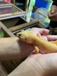 体感型動物園iZooに投稿された画像（2022/8/9）
