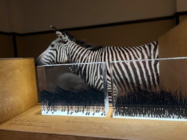 国立科学博物館に投稿された画像（2022/8/9）