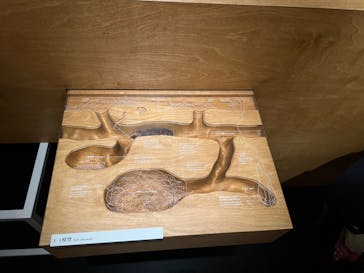 国立科学博物館に投稿された画像（2022/8/9）