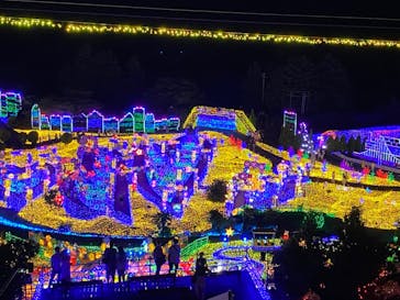 伊豆ぐらんぱる公園に投稿された画像（2022/8/9）