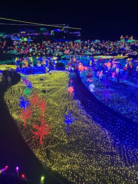 伊豆ぐらんぱる公園に投稿された画像（2022/8/9）