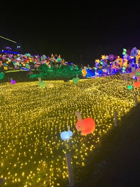 伊豆ぐらんぱる公園に投稿された画像（2022/8/9）