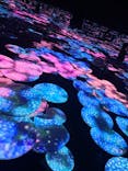 森ビル デジタルアート ミュージアム：エプソン チームラボボーダレスに投稿された画像（2022/8/10）
