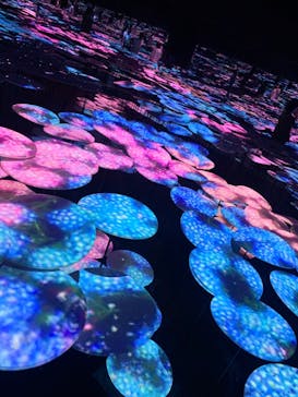 森ビル デジタルアート ミュージアム：エプソン チームラボボーダレスに投稿された画像（2022/8/9）
