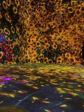 森ビル デジタルアート ミュージアム：エプソン チームラボボーダレスに投稿された画像（2022/8/9）