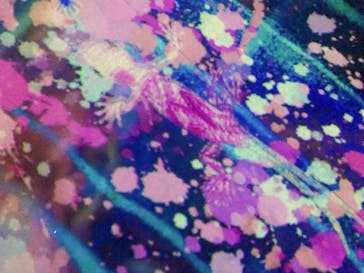 森ビル デジタルアート ミュージアム：エプソン チームラボボーダレスに投稿された画像（2022/8/9）