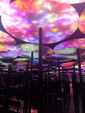 森ビル デジタルアート ミュージアム：エプソン チームラボボーダレスに投稿された画像（2022/8/9）