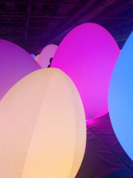 森ビル デジタルアート ミュージアム：エプソン チームラボボーダレスに投稿された画像（2022/8/9）