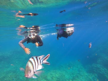 沖縄マリンサービス碧に投稿された画像（2022/8/9）