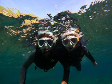 沖縄マリンサービス碧に投稿された画像（2022/8/9）