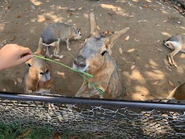 伊豆シャボテン動物公園に投稿された画像（2022/8/10）