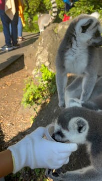 伊豆シャボテン動物公園に投稿された画像（2022/8/10）