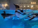 すみだ水族館に投稿された画像（2022/8/10）
