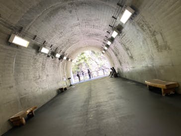 清津峡渓谷トンネルに投稿された画像（2022/8/10）