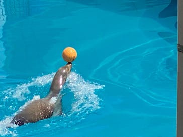 南知多ビーチランド＆南知多おもちゃ王国に投稿された画像（2022/8/10）