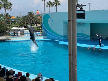 南知多ビーチランド＆南知多おもちゃ王国に投稿された画像（2022/8/10）