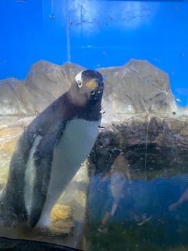 南知多ビーチランド＆南知多おもちゃ王国に投稿された画像（2022/8/10）