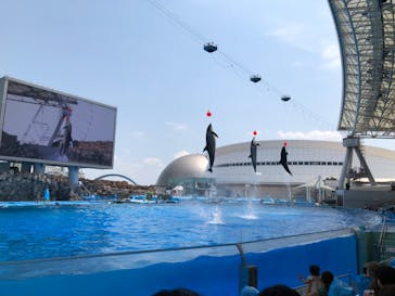 名古屋港水族館に投稿された画像（2022/8/10）