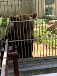 東武動物公園に投稿された画像（2022/8/10）