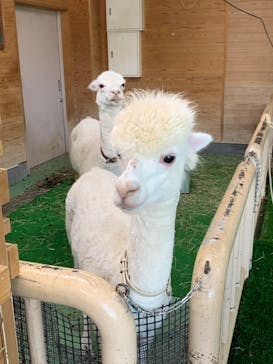 東武動物公園に投稿された画像（2022/8/10）