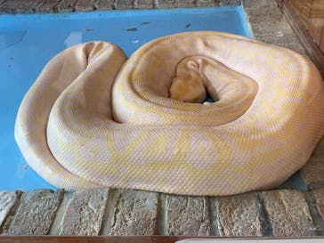 東武動物公園に投稿された画像（2022/8/10）