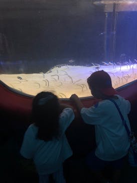 株式会社Gに投稿された画像（2022/8/10）