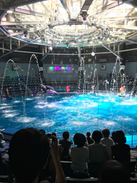 マクセル アクアパーク品川に投稿された画像（2022/8/10）