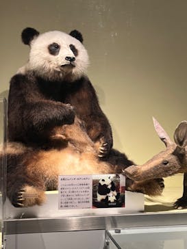 国立科学博物館に投稿された画像（2022/8/10）