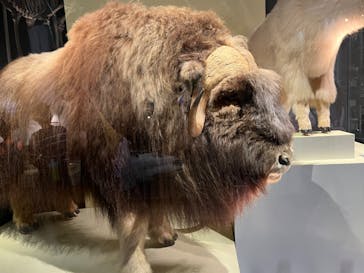 国立科学博物館に投稿された画像（2022/8/10）