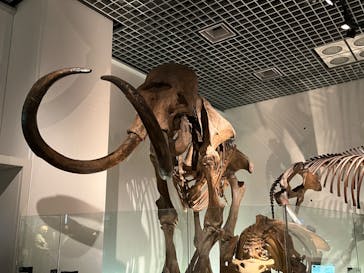 国立科学博物館に投稿された画像（2022/8/10）