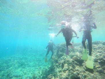 沖縄マリンサービス碧に投稿された画像（2022/8/10）