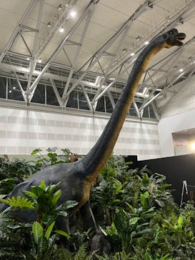 ジュラシック大恐竜展2022 in ときメッセに投稿された画像（2022/8/10）